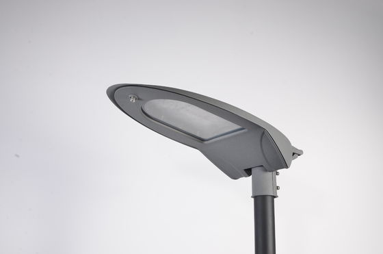 ENEC 100W IP66 Waterdicht LED-LED-straatverlichting Voor buitenwegen Tuinen Tuinen
