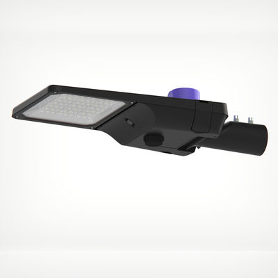 60-90W SL-29-60 LED straatlicht Housing Klasse I 45 / 60mm 12-14m DALI