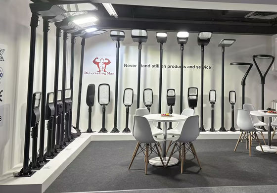 CRI 80 Straatlamp met een eenvoudige structuur en een hoge energie-efficiëntie