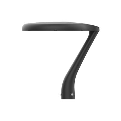 Die Cast Aluminium IP66 LED 60w Tuinverlichting Park Tuinlamp